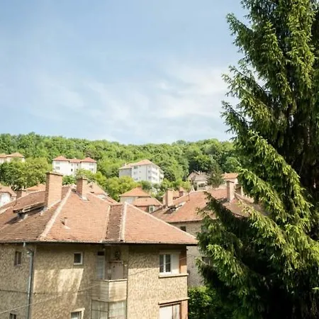 Panoramic Central Апартаменти Брашов